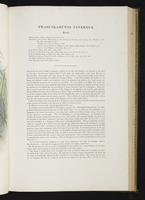 Introduction to the mammals of Australia, 1:110