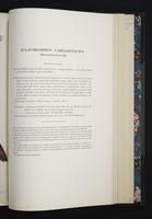 Monograph of the Ramphastidae, 2:216