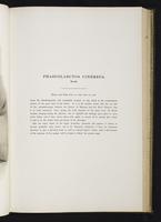 Introduction to the mammals of Australia, 1:106