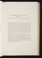 Introduction to the mammals of Australia, 1:86