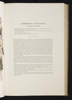 Introduction to the mammals of Australia, 1:78