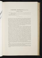 Introduction to the mammals of Australia, 1:74