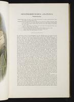 Introduction to the mammals of Australia, 1:56