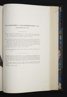 Monograph of the Ramphastidae, 2:208