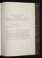 Monograph of the Macropodidae, 1:120