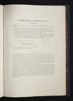 Monograph of the Macropodidae, 1:94