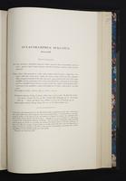 Monograph of the Ramphastidae, 2:200