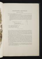 Monograph of the Macropodidae, 1:74