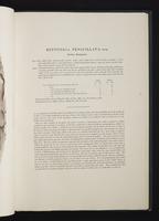 Monograph of the Macropodidae, 1:60