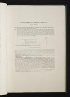 Monograph of the Macropodidae, 1:48