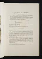 Monograph of the Macropodidae, 1:44