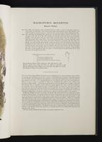 Monograph of the Macropodidae, 1:32