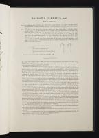 Monograph of the Macropodidae, 1:16