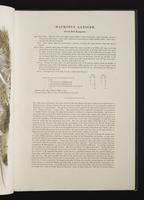 Monograph of the Macropodidae, 1:12