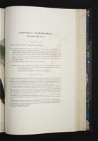 Monograph of the Ramphastidae, 2:192