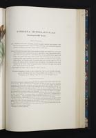 Monograph of the Ramphastidae, 2:184