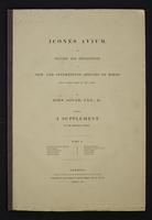 Icones Avium, 1:front