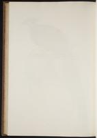 Century of birds from the Himalaya, 1:279