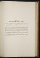 Century of birds from the Himalaya, 1:230