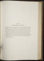 Century of birds from the Himalaya, 1:190