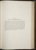 Century of birds from the Himalaya, 1:178