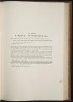 Century of birds from the Himalaya, 1:144