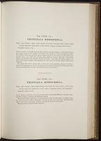 Century of birds from the Himalaya, 1:140