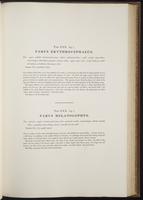 Century of birds from the Himalaya, 1:136