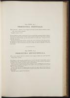 Century of birds from the Himalaya, 1:120