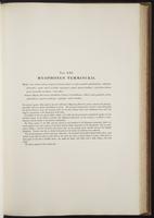 Century of birds from the Himalaya, 1:100