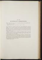 Century of birds from the Himalaya, 1:96