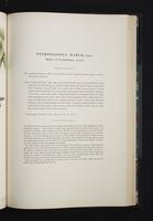 Monograph of the Ramphastidae, 2:152