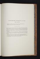 Monograph of the Trochilidae, 1s:444