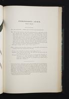 Monograph of the Ramphastidae, 2:144