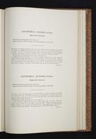 Monograph of the Trochilidae, 1s:380
