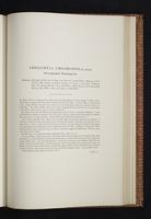 Monograph of the Trochilidae, 1s:328