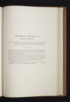 Monograph of the Trochilidae, 1s:326