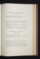 Monograph of the Trochilidae, 1s:320