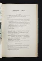 Monograph of the Ramphastidae, 2:130