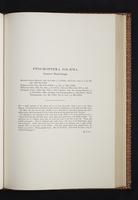 Monograph of the Trochilidae, 1s:244