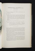 Monograph of the Ramphastidae, 2:126