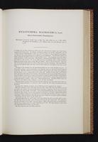 Monograph of the Trochilidae, 1s:194