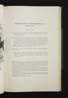 Monograph of the Ramphastidae, 2:122