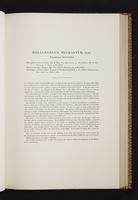 Monograph of the Trochilidae, 1s:166