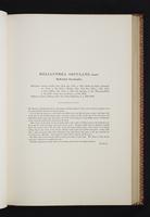 Monograph of the Trochilidae, 1s:128