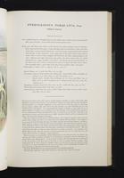 Monograph of the Ramphastidae, 2:114