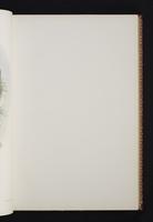 Monograph of the Trochilidae, 1s:84