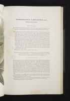 Monograph of the Ramphastidae, 2:110