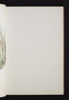 Monograph of the Trochilidae, 1s:40