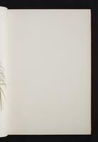 Monograph of the Trochilidae, 1s:20